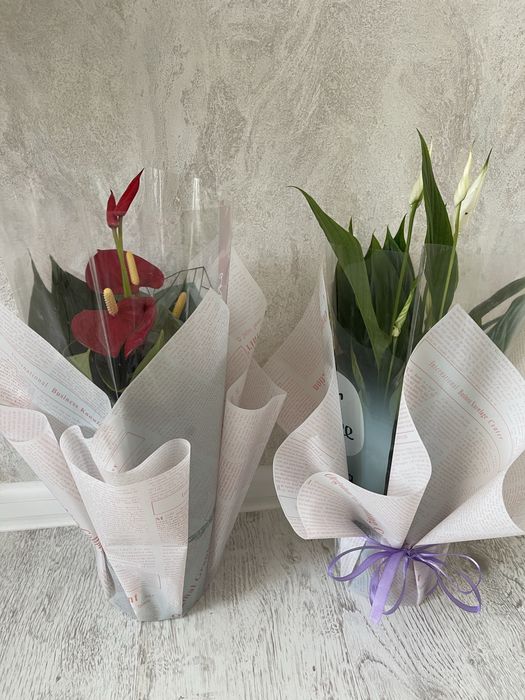 Гүлдер сатылады свежие