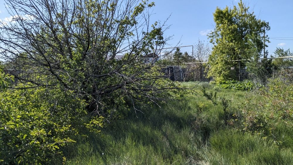 Земельный участок 12 соток