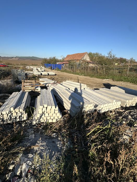 Stalpi din beton / Spalier