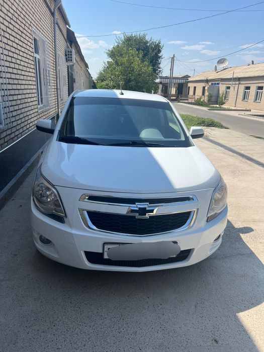 Cobalat 2022 export variant A/T