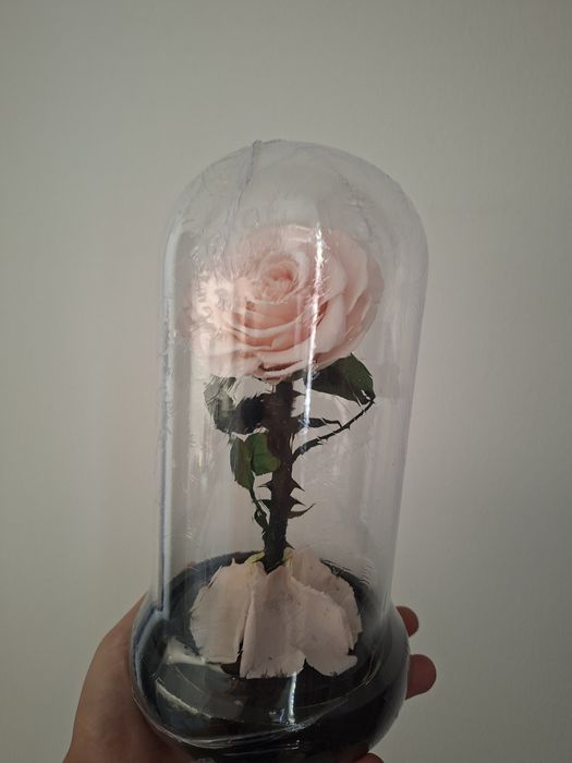 Живая Роза с подсветкой