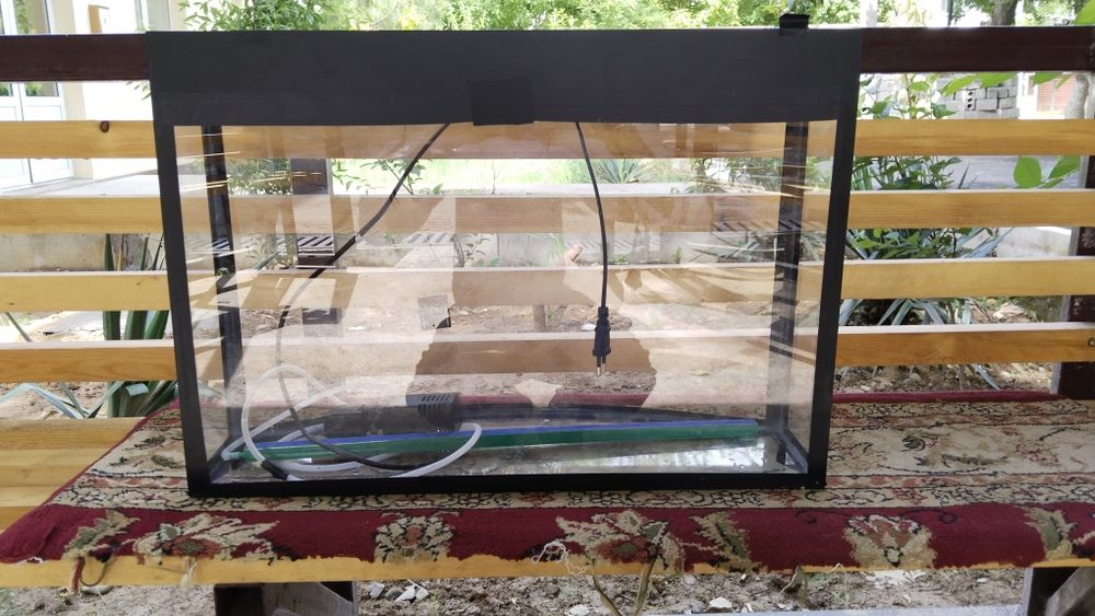 Akvarium baliqlar uchun