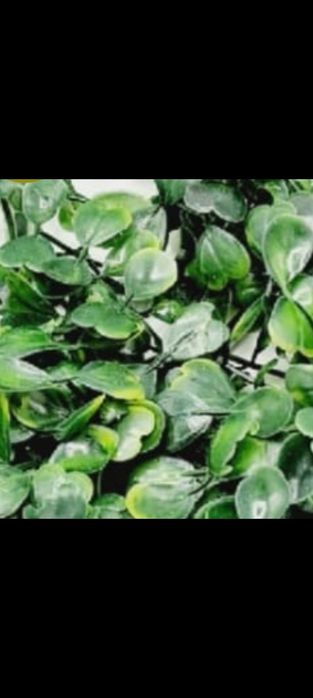 Panou verde artificial 40x60 cm