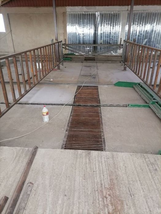 СРОЧНО! Молочно-товарноя ферма