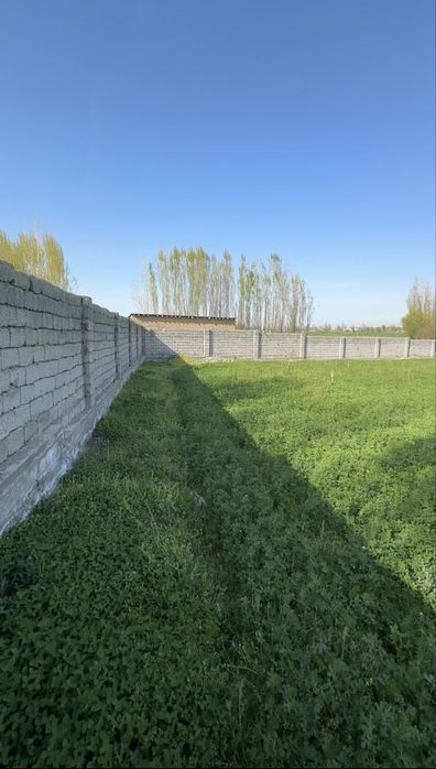 Янгийўл, М.Улугбек МФЙ, (Мирзабобоев)ер 10 сотих