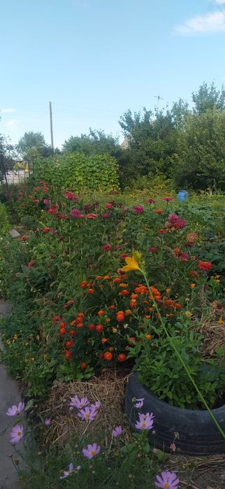 Продажа дачи "Здравница".