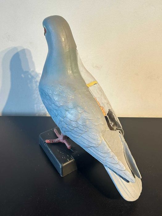 Соц Учебен Анатомичен Модел на Гълъб