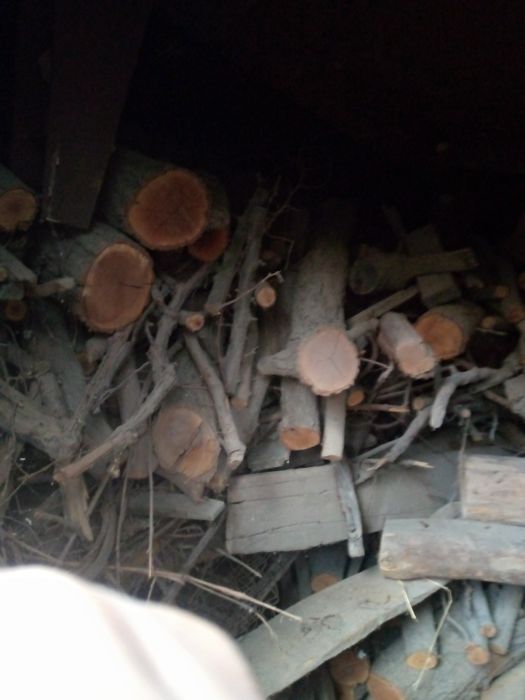 Утин сотиладиАдрес Тошкент вилояти Пискент туманки 2скамейка