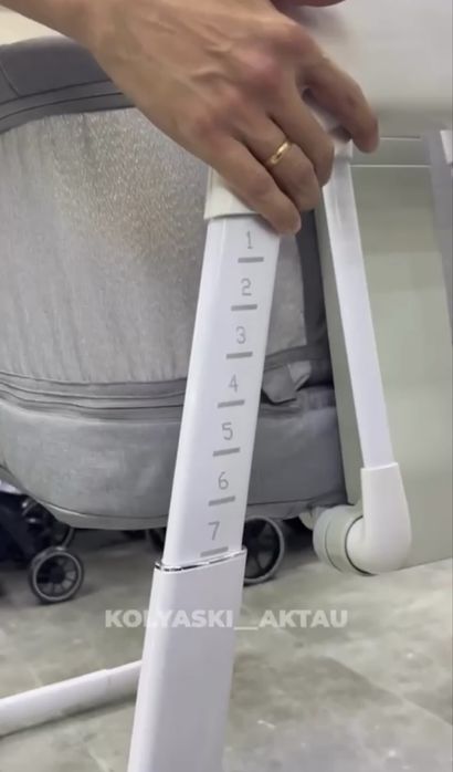 Электронный Манеж