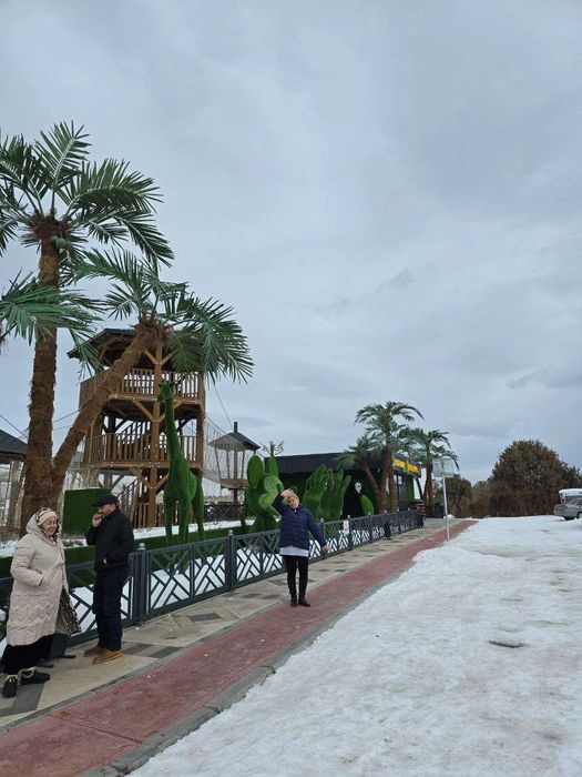 Зооминга Кишги корли Саехат