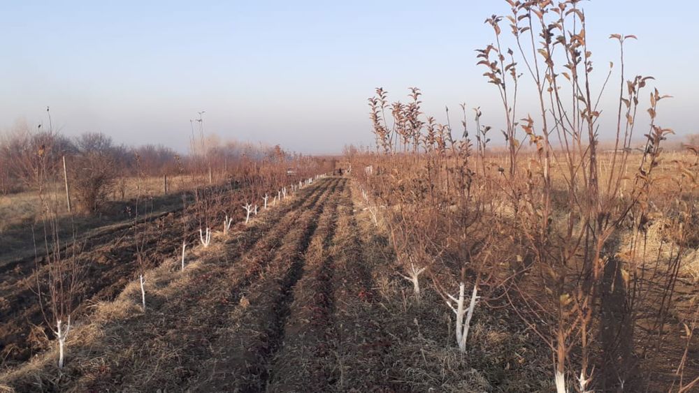 Продам участок поле