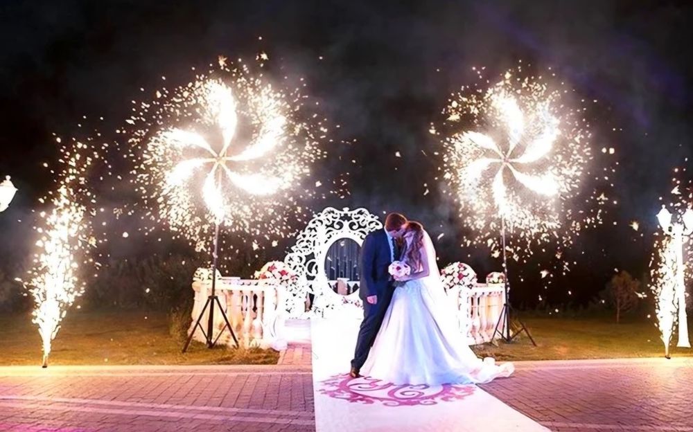 Ring dans led profesional