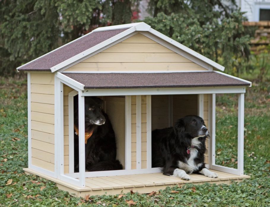 Строим дома для ваших любимых Питомцев