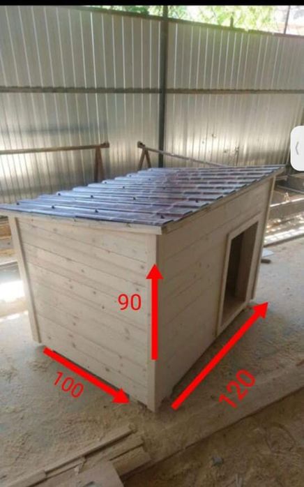 Вольтер, вольер для собаки, ИТ , собака