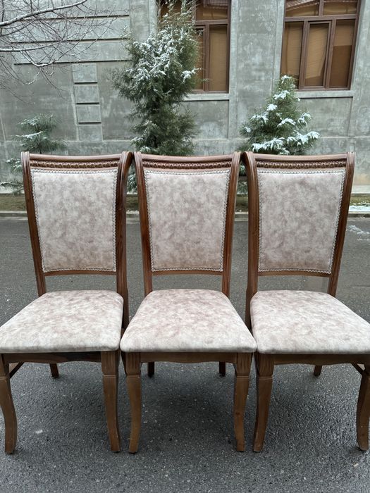 Prakat stol stul 24/7 Аренда стол стул прокат стол стул