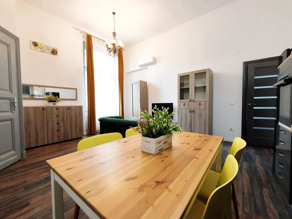 Apartament gata de mutat,Metianu