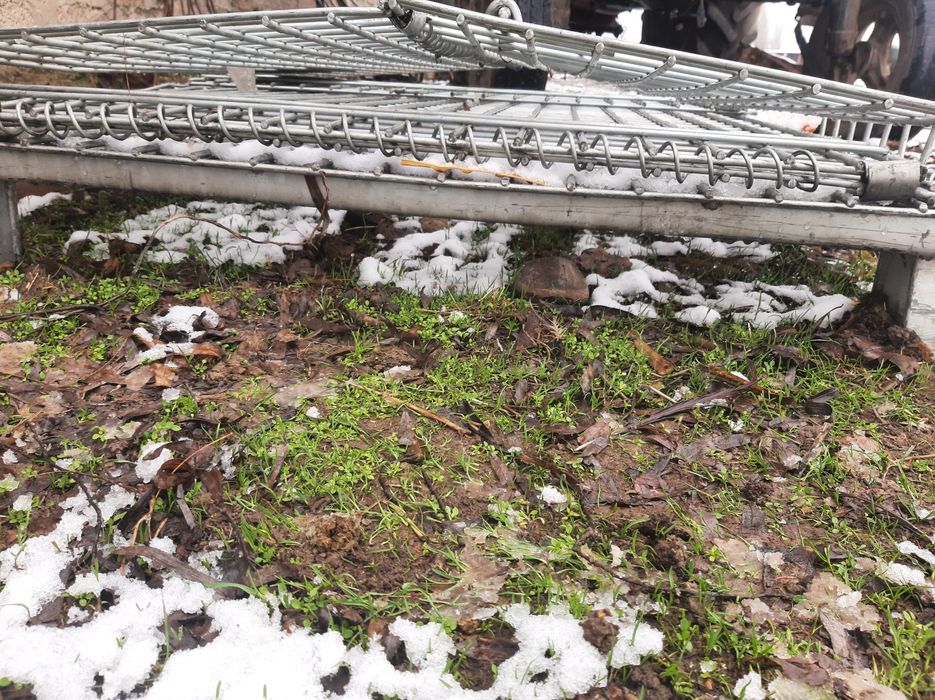 Zanglamas Qafas juda baquvvat