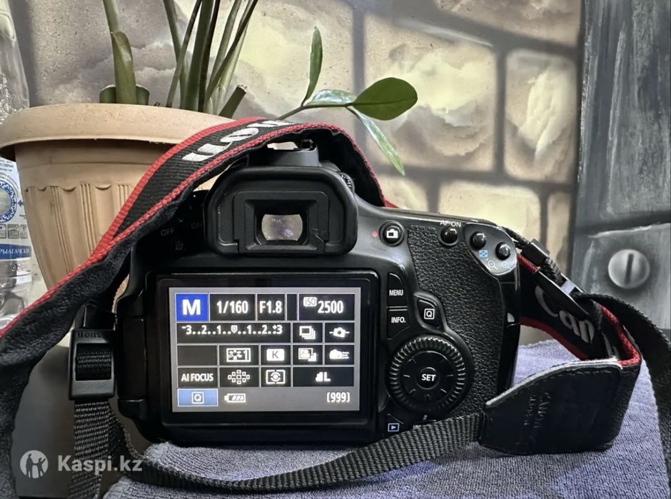 Canon 60D 50mm 1.8 STM