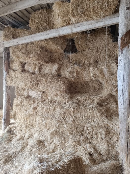 Сатылатын Сабан прес бар