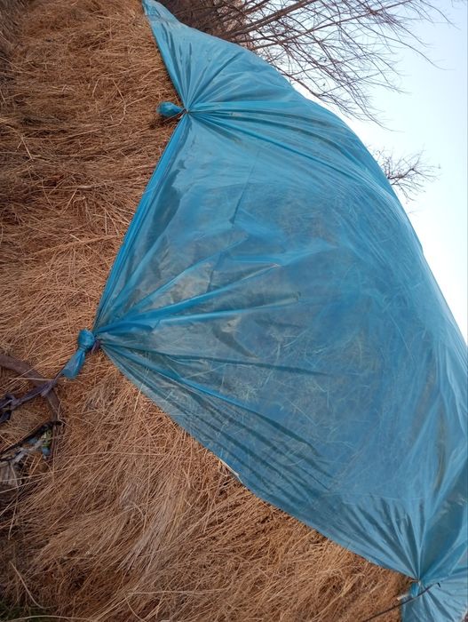 Beda sotiladi, mol ovqati