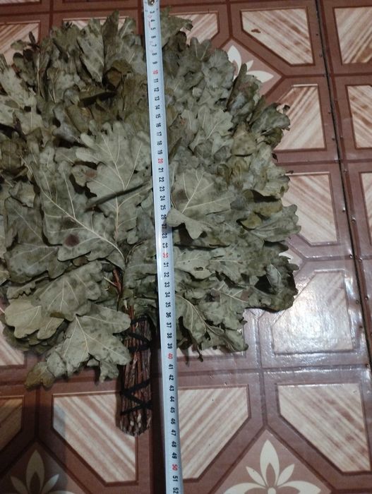 Дубовые   веники