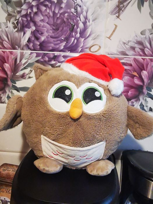 Perna Dormeo pernuta Bufnita copii