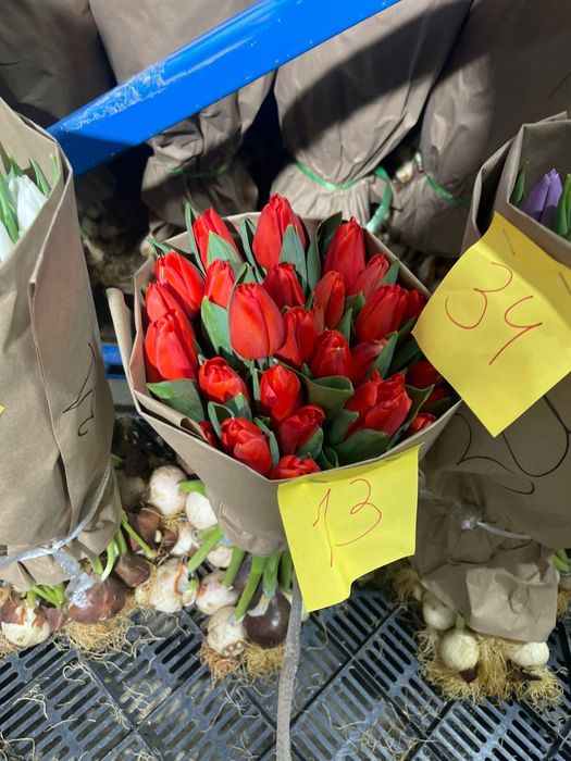 Оптом и в розницу от 360