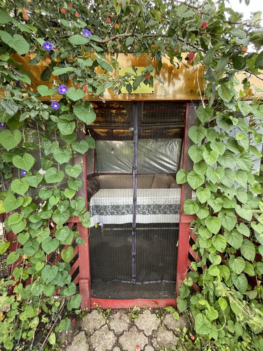 Продам дом с бизнесом