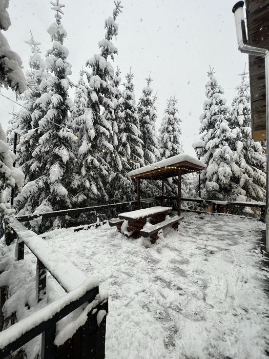 Cabana Ranca de inchiriat