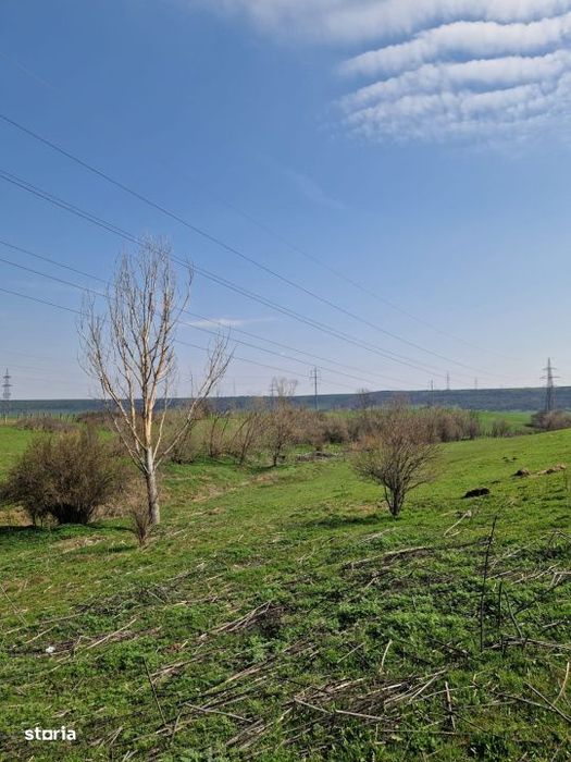 Ferma de vanzare 8 ha – Bals, judetul Olt