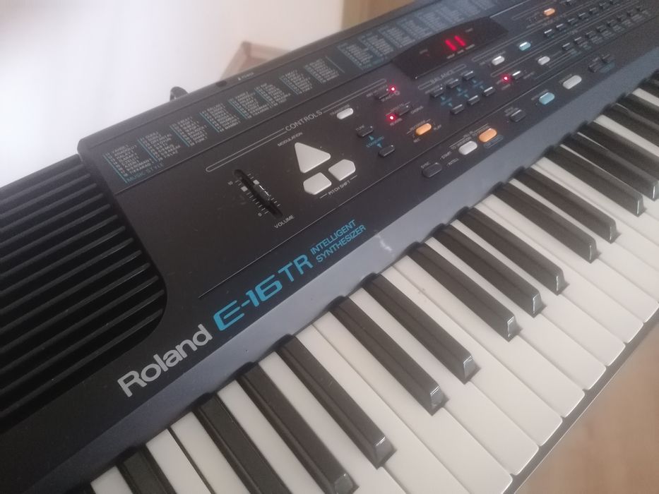 Türk Ritimleri Roland E 16TR profesional