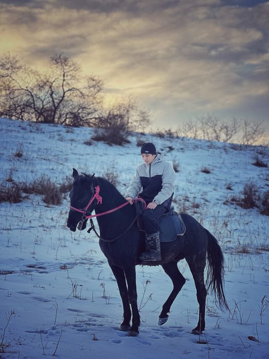 Мінгі ат сатылад пішпе 5 жасар