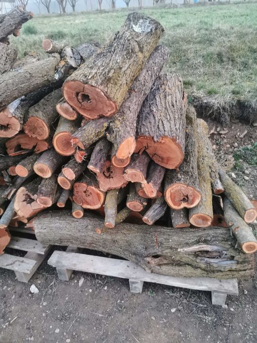 Lemne prun și mar  pentru afumat. sau pentru foc. 200ron/ms