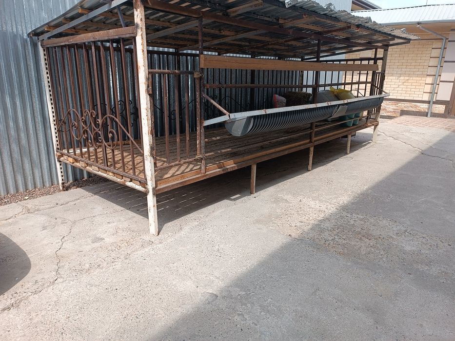 Qoy xona 15 ta qoy balol ketadi