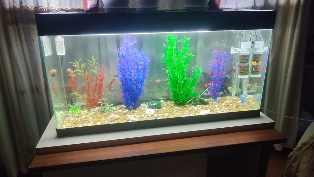 Продам большой аквариум с рыбками