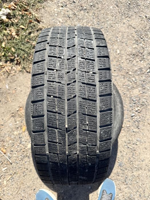 Резина 205/55/R16