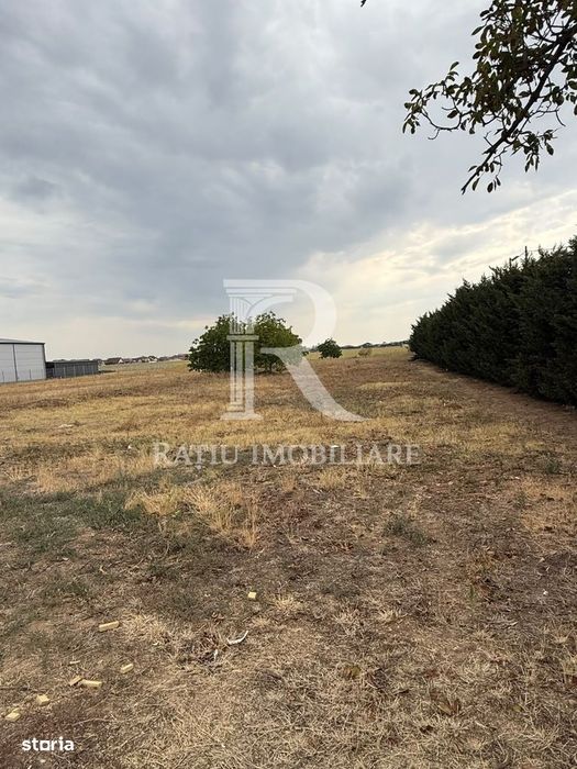 Teren Intravilan | 2500 mp | Calea Santandrei | Oradea