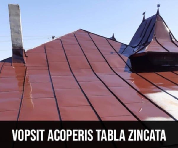 Executam acoperisuri