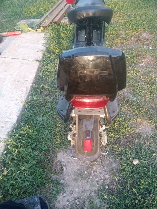 Лепард лепард  40