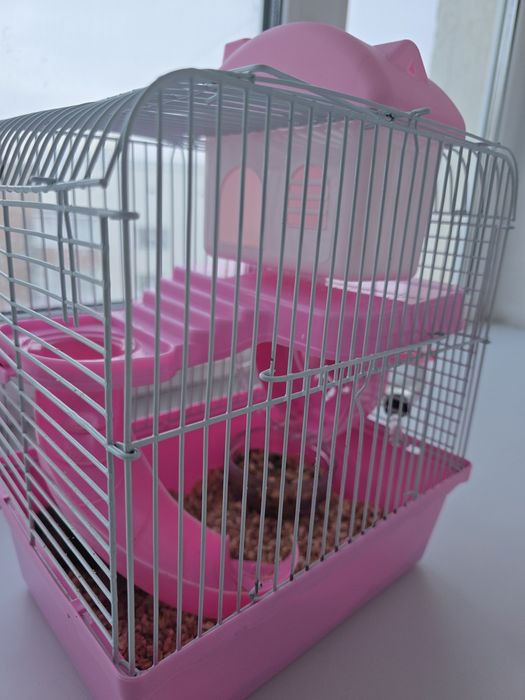 Хомяк с клеткой и кормом