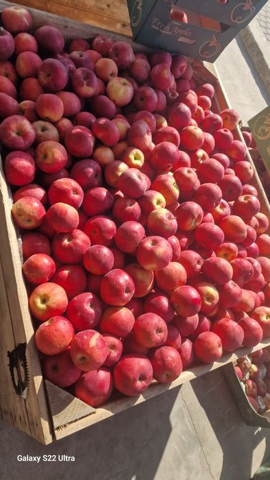 Idared 80+ 2lei mere idared