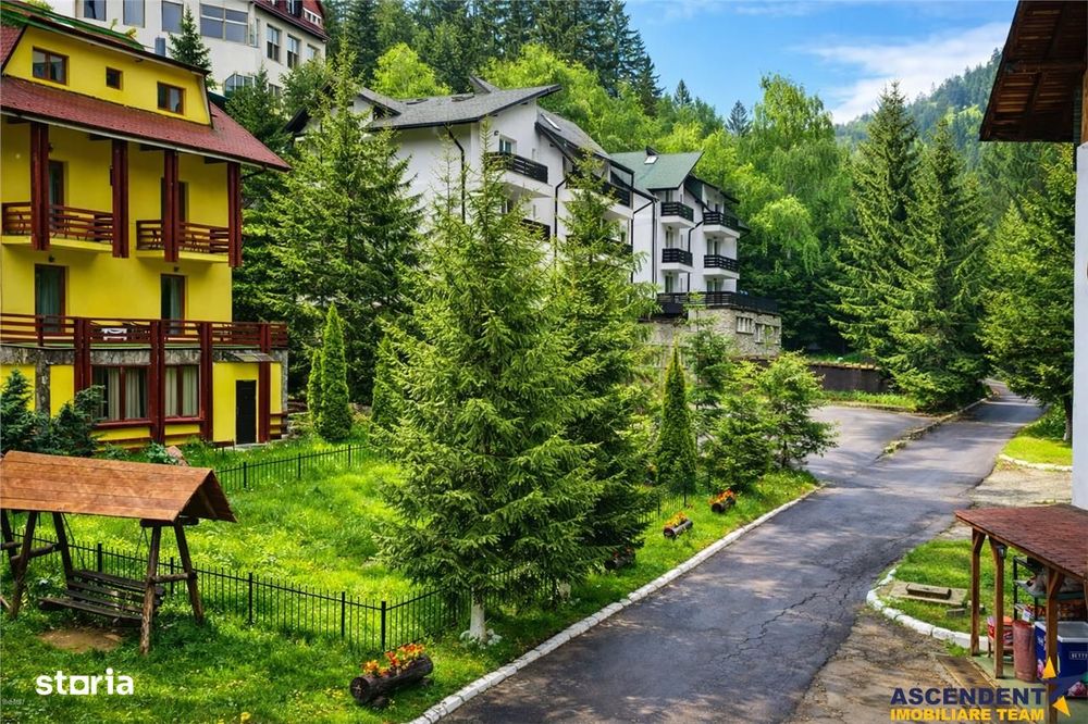 Tur LIVE! Refugiu in ambientul special al statiunii Poiana Brasov