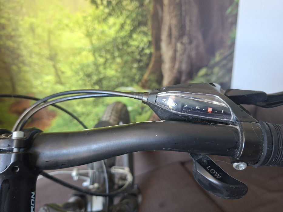 Bicicleta Adult Corelli