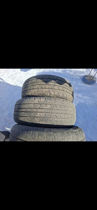 Резина от шарана