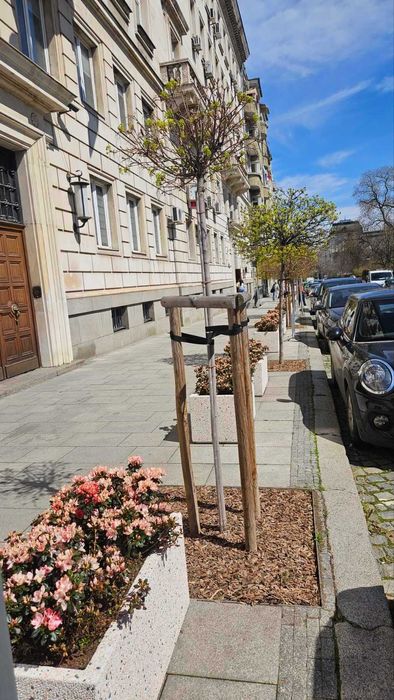 Борова кора от производител | 50л чували и насипно | София.