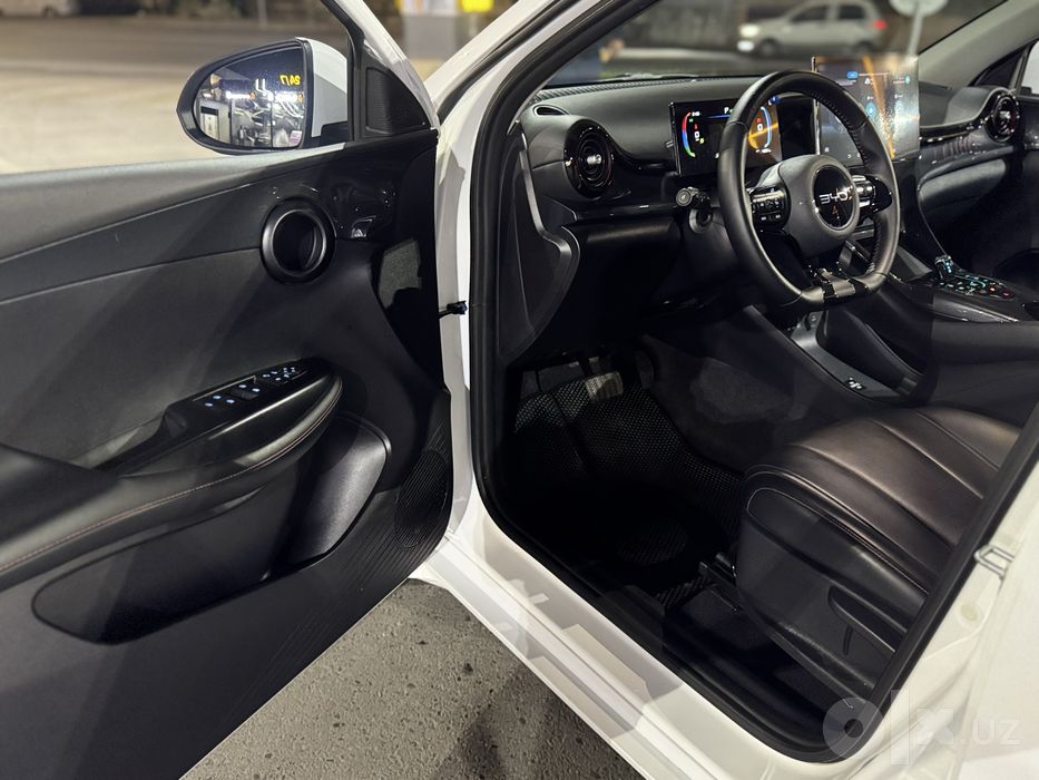 BYD e2 405  tali