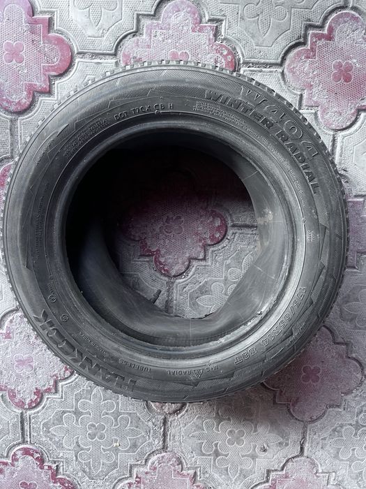 Шина в одном экземпляре