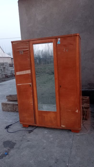 старые шкафные деревья очень крепкие и толстые