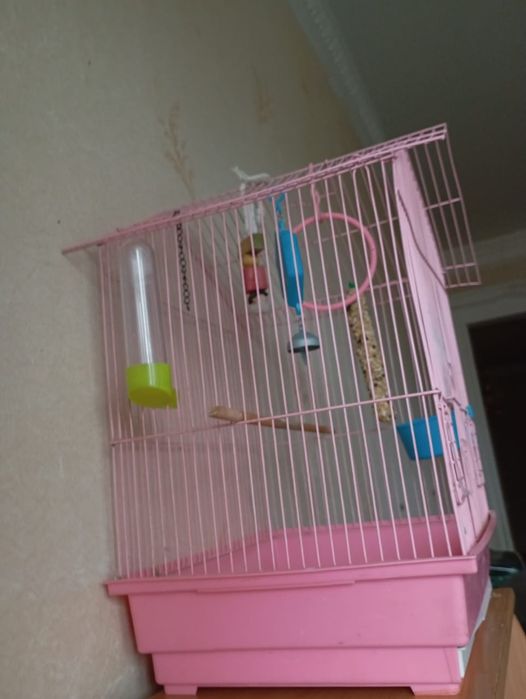 Продам клетку для попугая