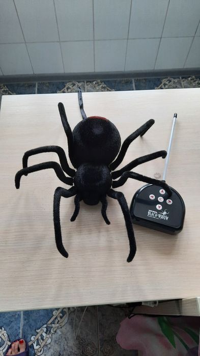 Новый.  Паук   на   пульте.